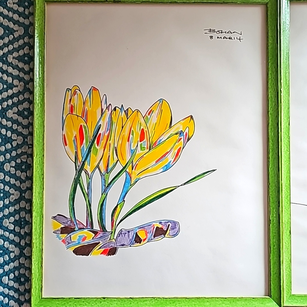 Set of 2 Bohan Framed Drawings